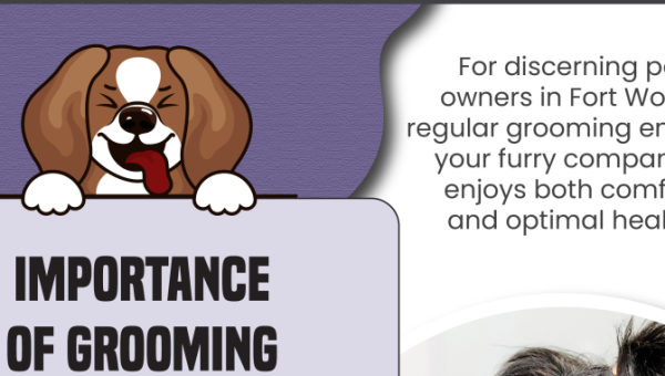 Grooming Checklist For Happy And Healthy Pets In Fort Worth