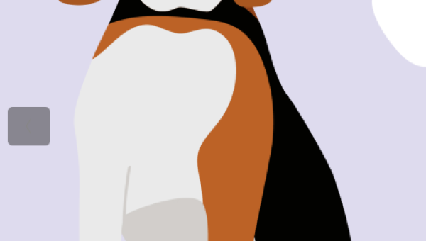 Why Mid-Day Dog Walks Are A Mood Booster For Your Pup