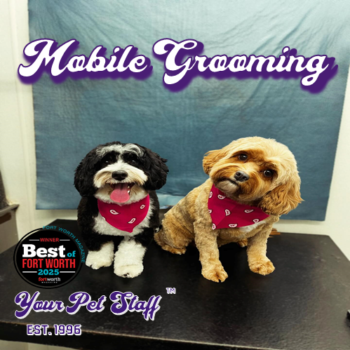 Mobile grooming