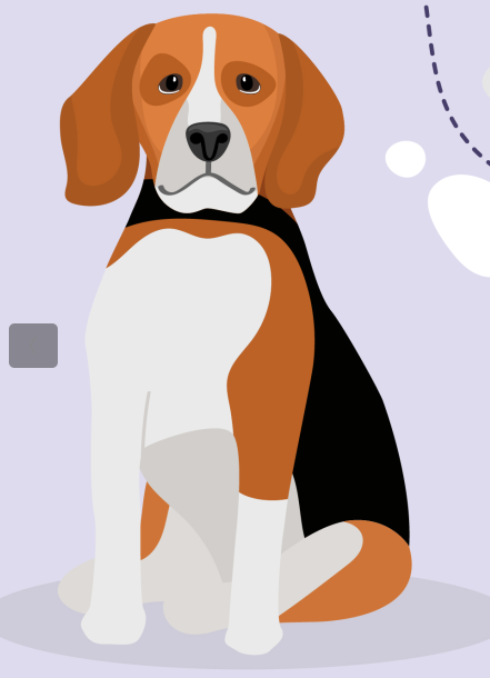 Why Mid-Day Dog Walks Are A Mood Booster For Your Pup