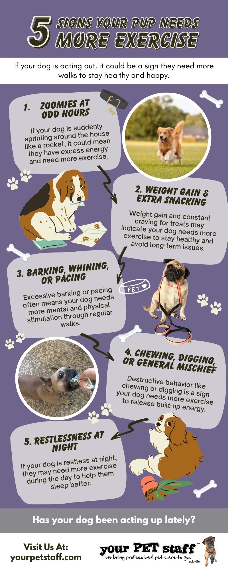  Manager yourpetstaff 5M Infographic697162